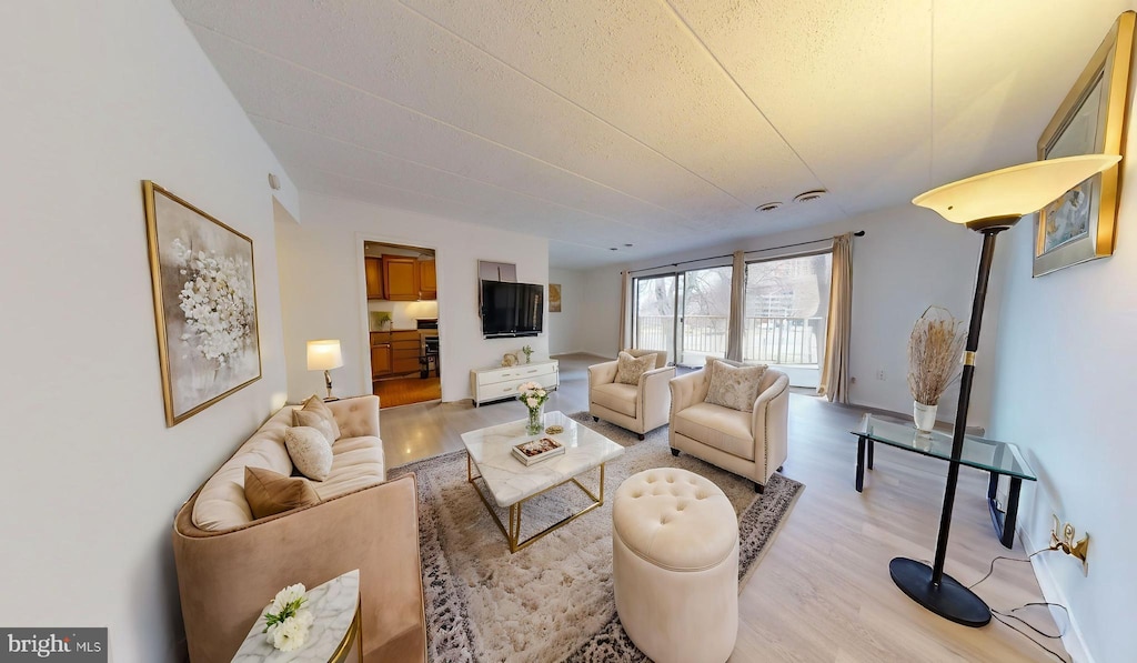 living room featuring light hardwood / wood-style floors