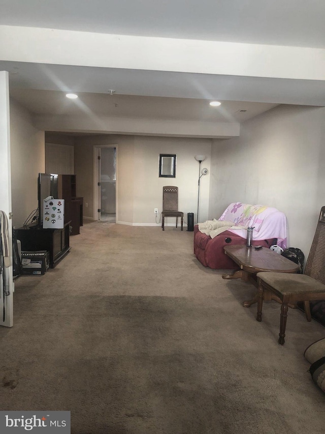 sitting room with carpet flooring