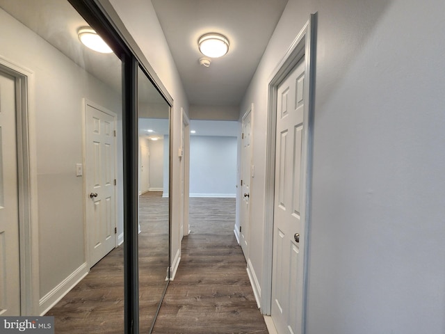 corridor featuring dark wood-type flooring