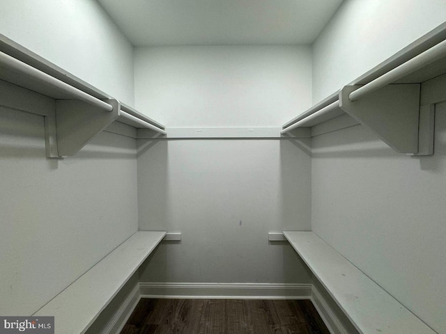 walk in closet with dark wood-type flooring