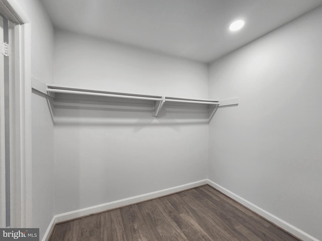 walk in closet featuring dark hardwood / wood-style flooring