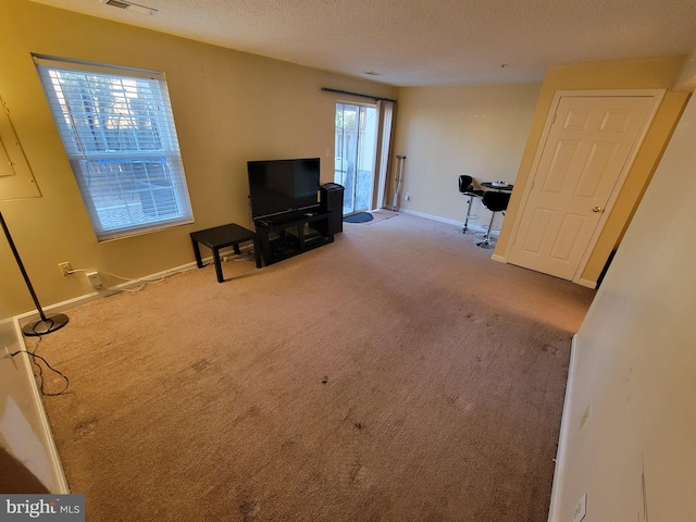 interior space with carpet flooring, a textured ceiling, and plenty of natural light