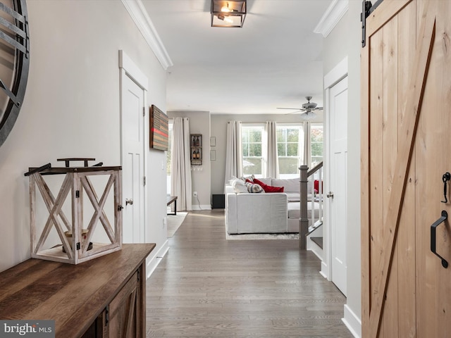 hallway featuring dark hardwood / wood-style flooring, a barn door, and crown molding