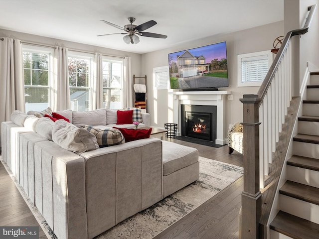 living room with wood-type flooring and ceiling fan