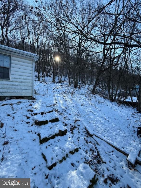 view of snowy yard