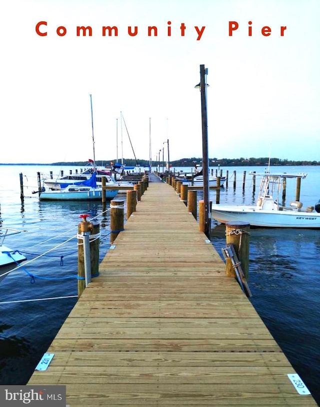 dock area featuring a water view