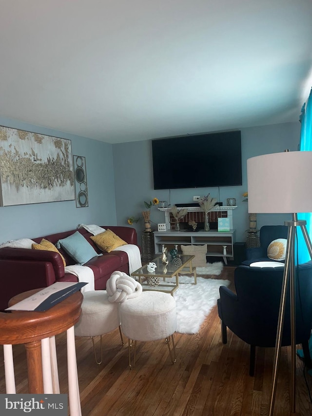 living room with hardwood / wood-style floors