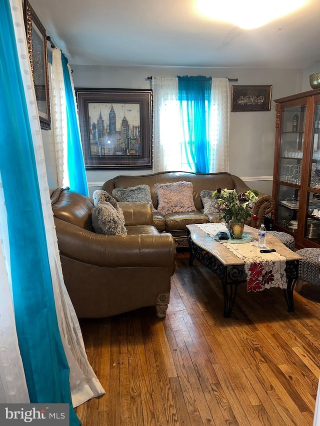 living room with hardwood / wood-style flooring