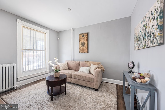 living room with hardwood / wood-style flooring, a wealth of natural light, and radiator