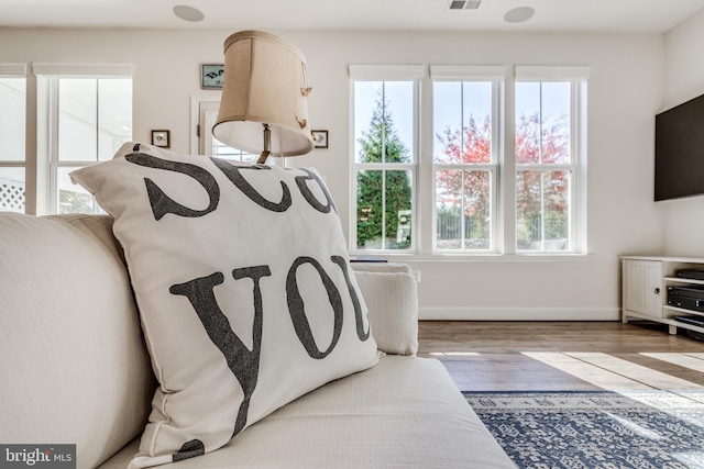 room details with hardwood / wood-style floors