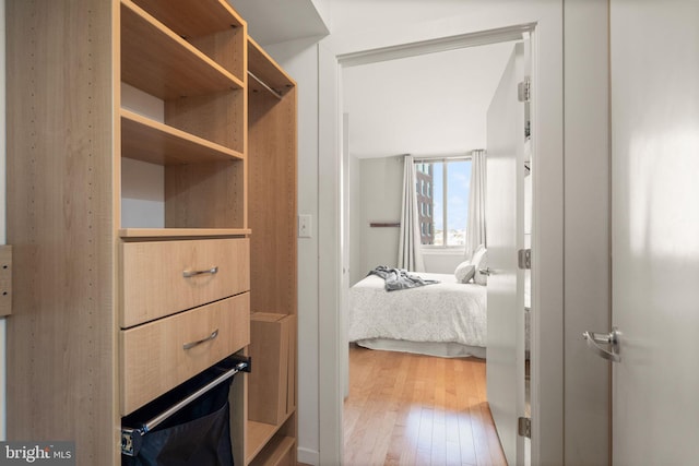 spacious closet with hardwood / wood-style flooring