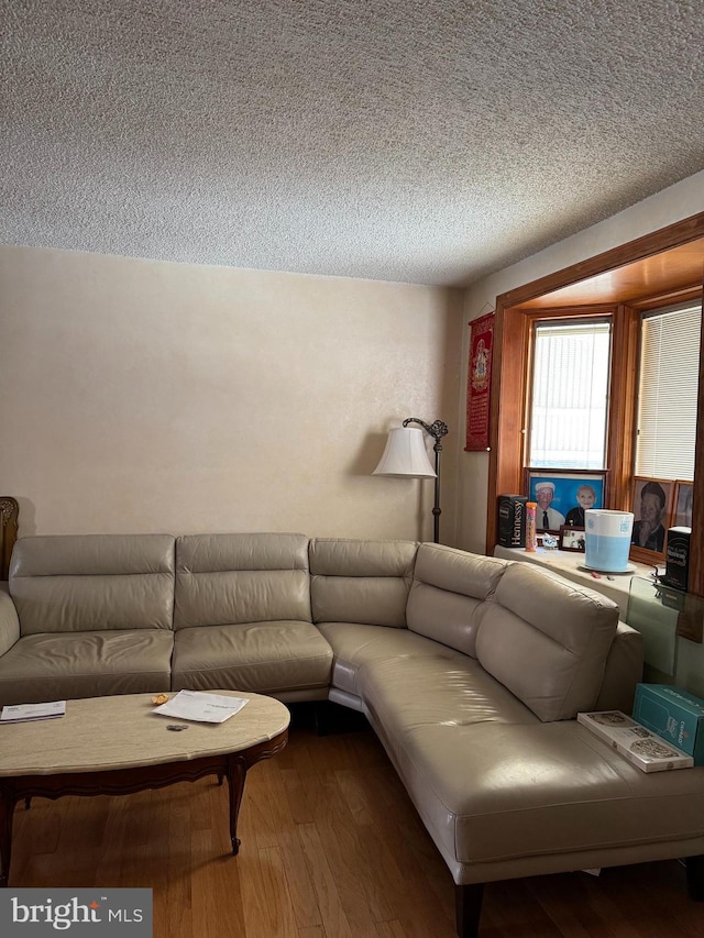 living room featuring hardwood / wood-style floors and a textured ceiling