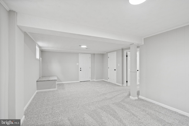 basement featuring carpet flooring