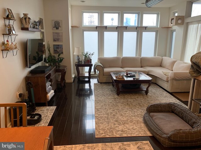 living room featuring dark hardwood / wood-style floors and a healthy amount of sunlight