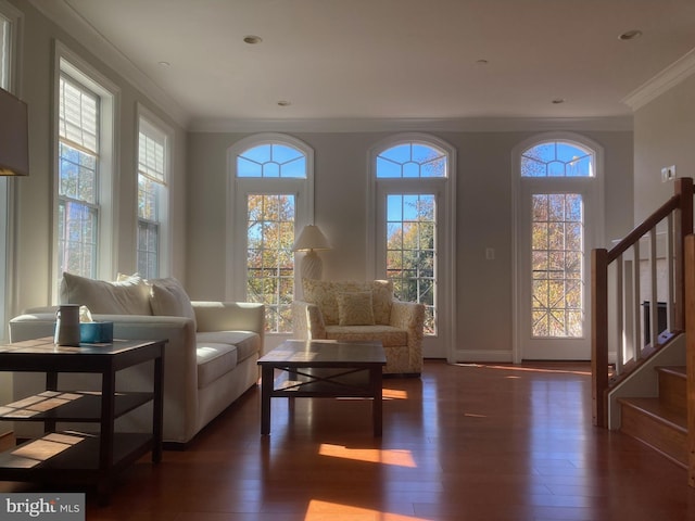 sitting room featuring dark wood-type flooring and ornamental molding