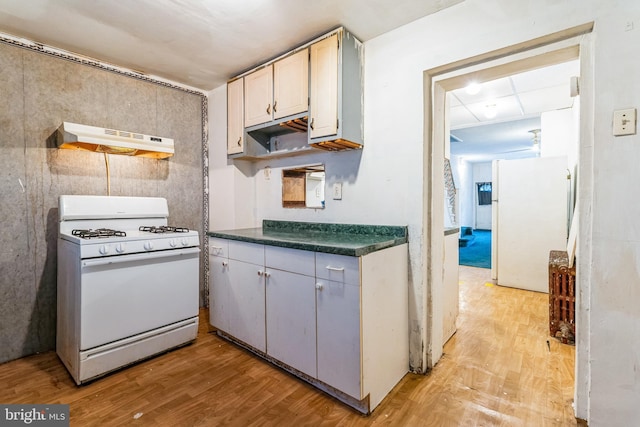 kitchen with light hardwood / wood-style flooring, white appliances, and ventilation hood