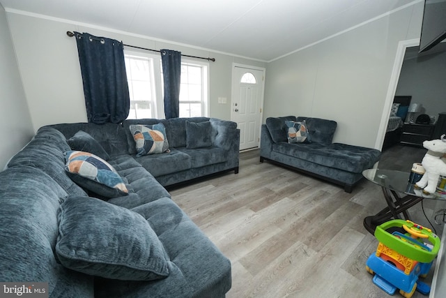 living room featuring light hardwood / wood-style floors and ornamental molding