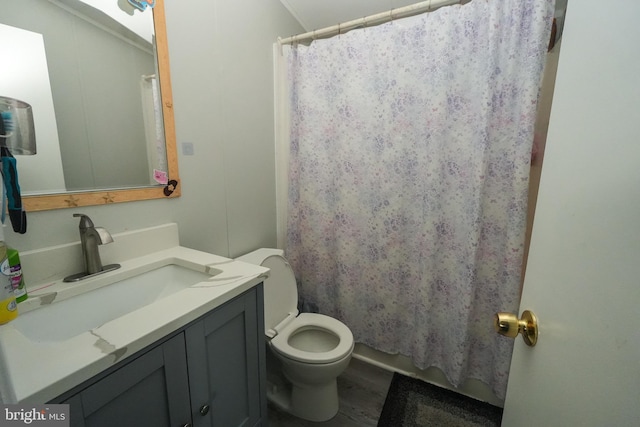 bathroom featuring vanity, toilet, and wood-type flooring