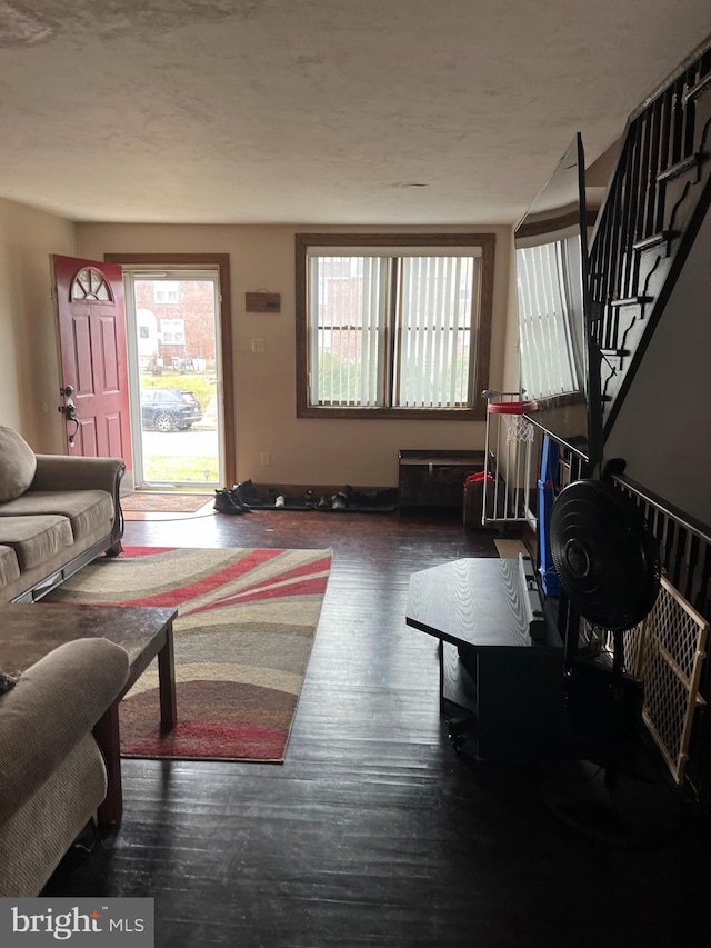 living room featuring dark hardwood / wood-style flooring