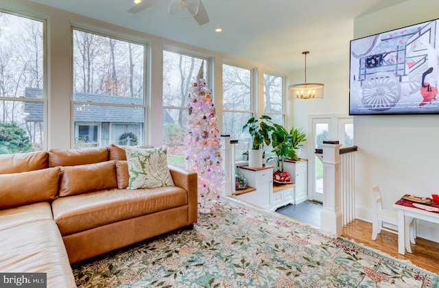 living room with hardwood / wood-style floors, ceiling fan with notable chandelier, and a healthy amount of sunlight