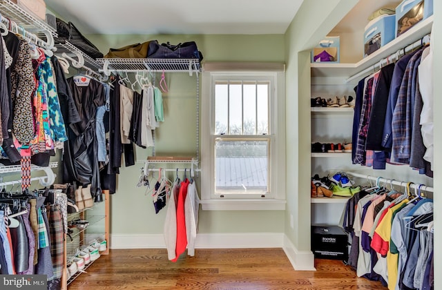 walk in closet featuring hardwood / wood-style floors