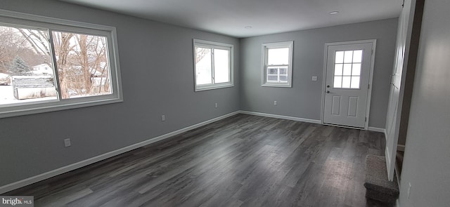 foyer entrance featuring dark hardwood / wood-style flooring and a healthy amount of sunlight