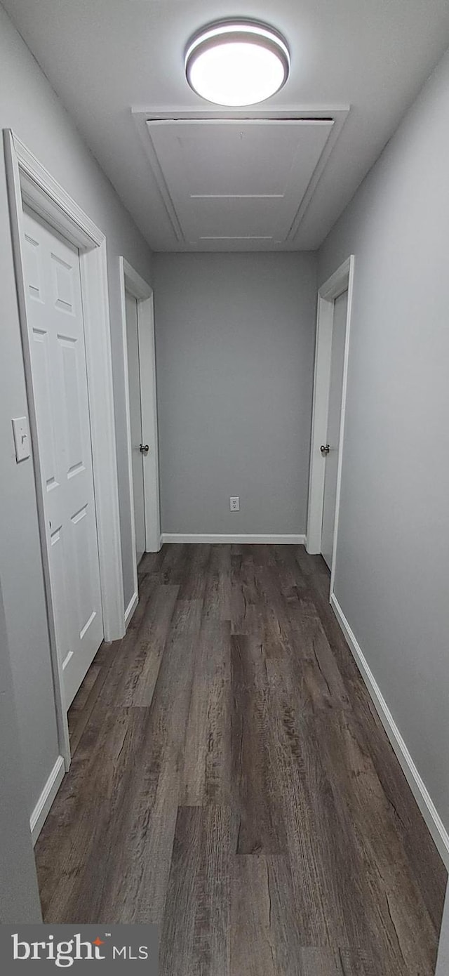 hall with dark wood-type flooring