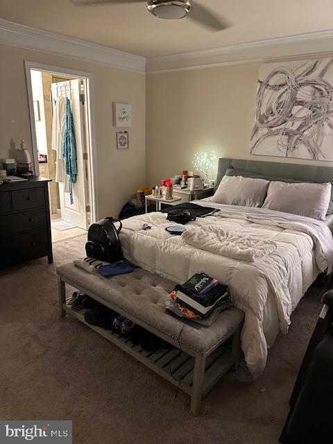 bedroom with ceiling fan, carpet floors, ornamental molding, and connected bathroom