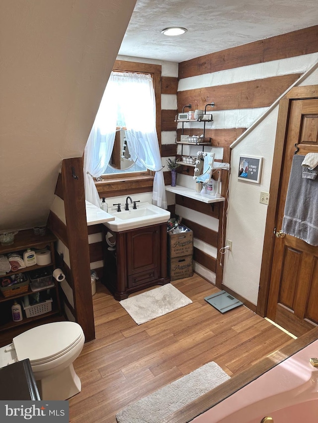 bathroom with vanity, wood-type flooring, and toilet