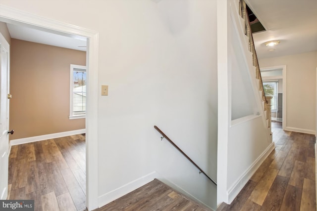 hall with hardwood / wood-style flooring