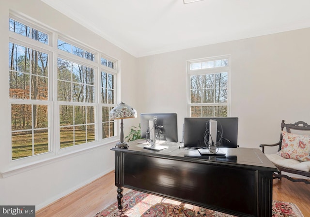 office area with light hardwood / wood-style floors and ornamental molding