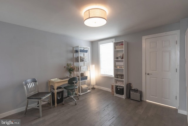 office featuring dark hardwood / wood-style floors