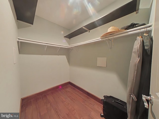 walk in closet with wood-type flooring