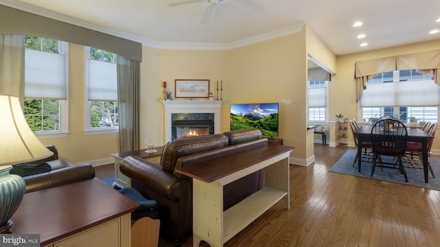 living room featuring ceiling fan, a high end fireplace, a healthy amount of sunlight, and ornamental molding