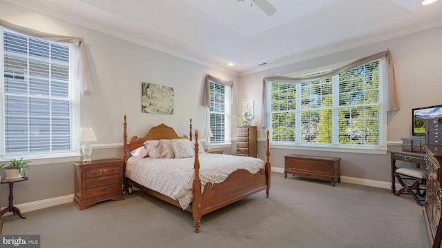 carpeted bedroom with a raised ceiling, ceiling fan, and crown molding