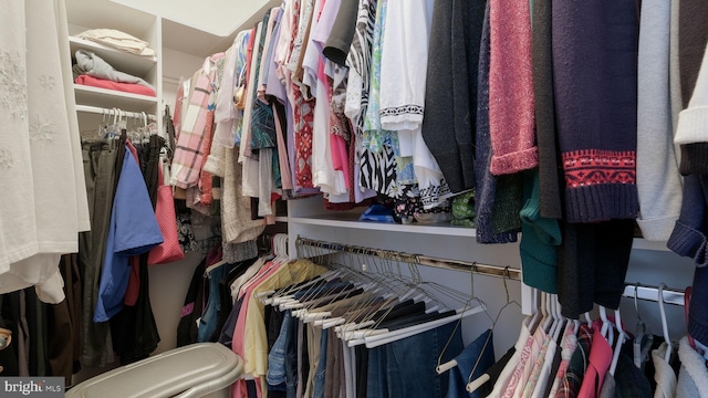 view of spacious closet