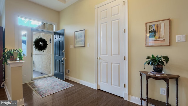 entrance foyer featuring dark hardwood / wood-style flooring