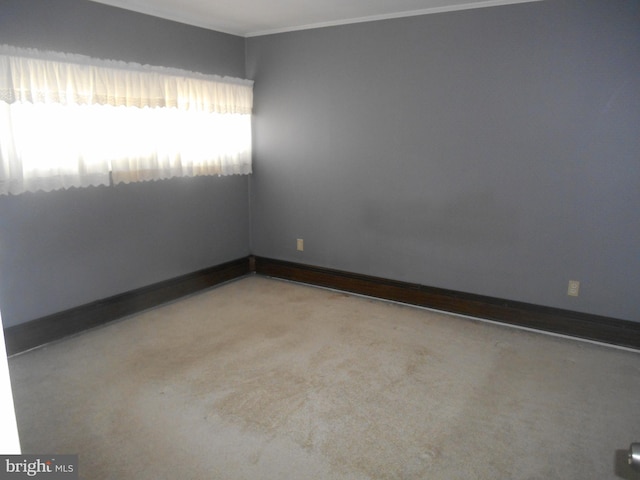 empty room featuring baseboards and light colored carpet