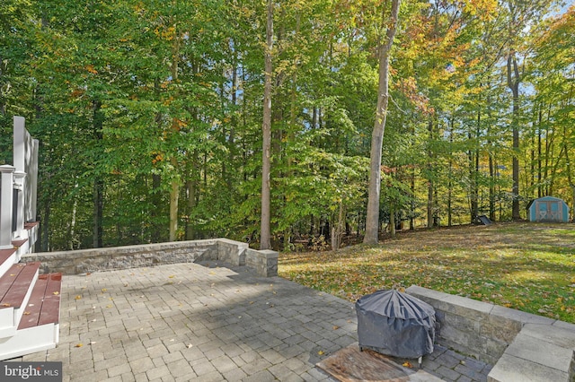 view of patio / terrace with a shed