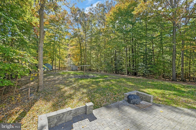 view of yard featuring a patio area and a storage shed