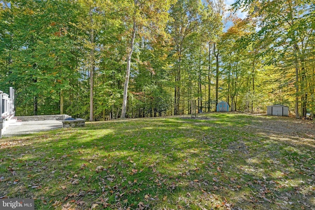 view of yard featuring a shed