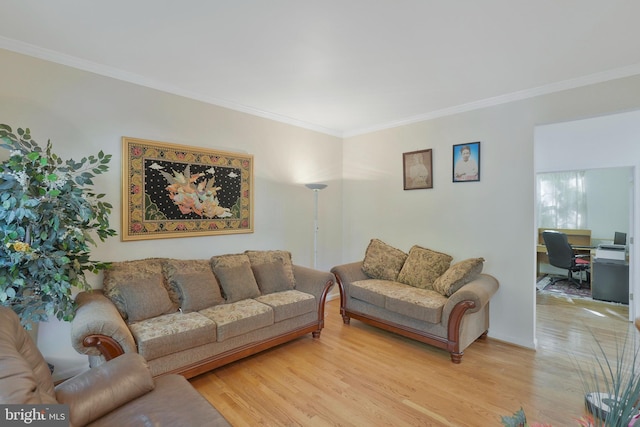 living room featuring light hardwood / wood-style floors and ornamental molding