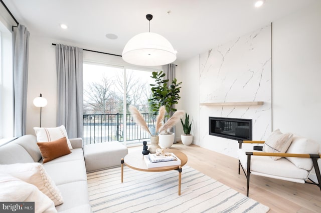 living room featuring a high end fireplace and light hardwood / wood-style floors