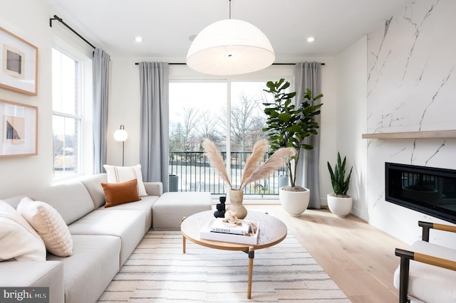 living room with a high end fireplace and light hardwood / wood-style floors