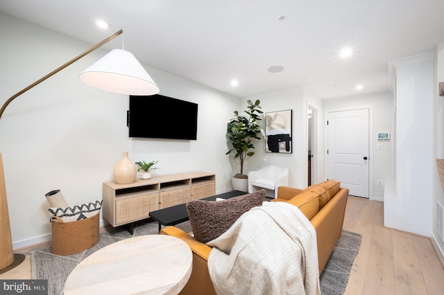 living room with light wood-type flooring