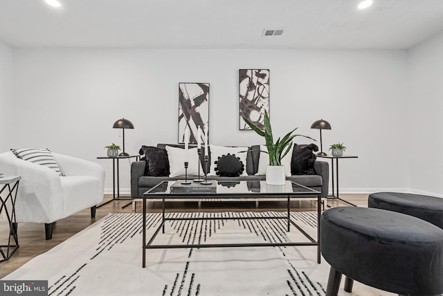 living room with hardwood / wood-style flooring