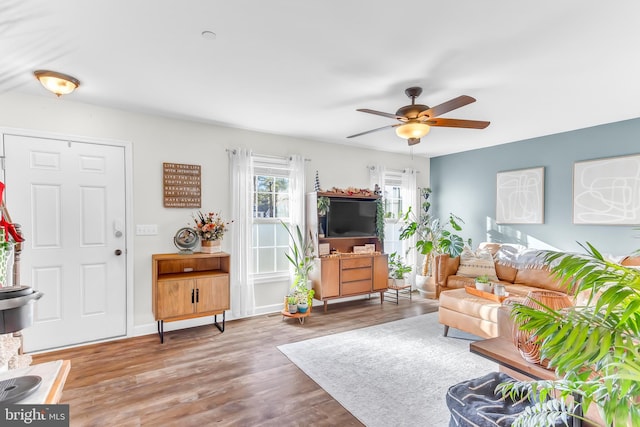 living room with ceiling fan and hardwood / wood-style flooring