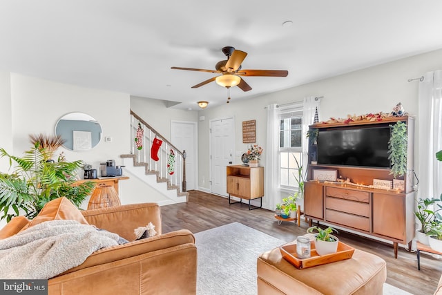 living room with ceiling fan and hardwood / wood-style floors