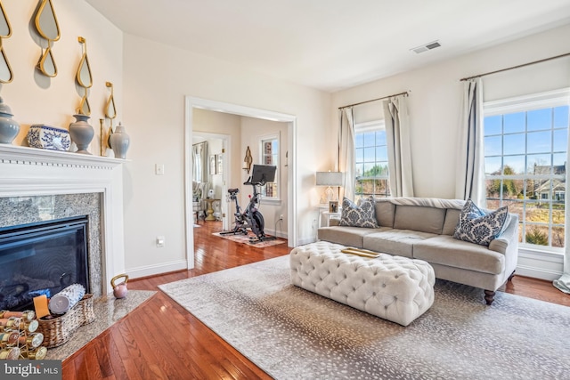 living room with a premium fireplace and wood-type flooring