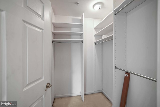 view of walk in closet